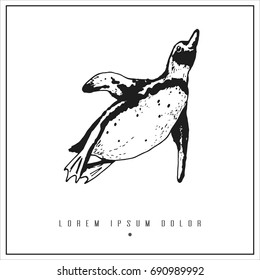 hand drawn isolated illustration with penguin and place for your text. minimalism vintage  invitation, label or card