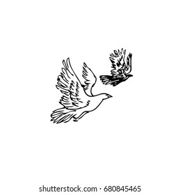 Hand drawn isolated illustration of pigeons / doves