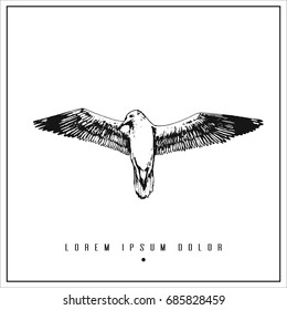 hand drawn isolated illustration with seagull and place for your text. minimalism vintage  invitation, label or card