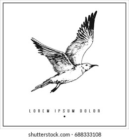 hand drawn isolated illustration with seagull and place for your text. minimalism vintage  invitation, label or card