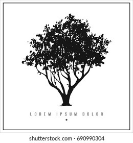 hand drawn isolated illustration with tree (oak, ash, birch, maple, fir, eucalyptus) and place for your text. minimalism vintage  invitation, label or card
