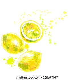 hand drawn of isolated lemons. vector illustration 