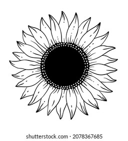 Hand drawn  isolated  monochrome stylized big black sunflower silhouettes on white background