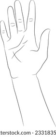Hand drawn hand isolated on white background. Hand drawn female hand linear sketch. Black silhouette on white background. Vector illustration