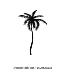Hand drawn isolated palm tree silhouette. Tropical coconut for t-shirt prints. Tropical nature element. Vector Illustration