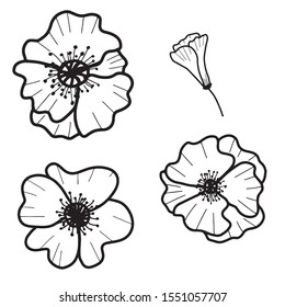 Hand drawn isolated poppy flowers and poppy bud outline icons. Flower line icons. Botanical illustration.