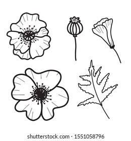 Hand drawn isolated poppy flowers, poppy bud, poppy seed and leaf. Outline poppy icons. Flower line icons. Botanical illustration.