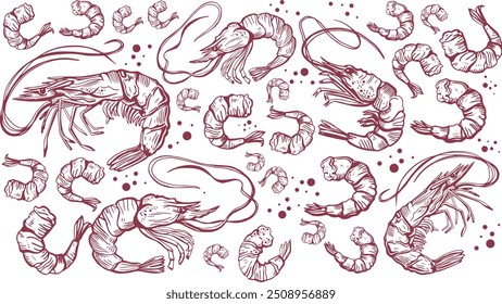 Hand drawn isolated seamless vector pattern of shrimps. Shrimps and langoustines. Prawns. Seafood, food vintage illustration.	