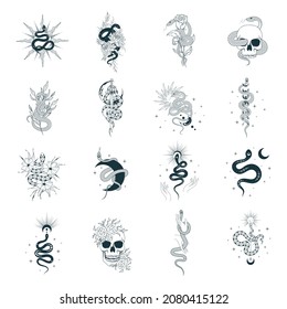 Hand drawn isolated set with floral and celestial snakes. Mystical and spiritual python, reptile collection for t-shirt design, fabric, covers and cards.