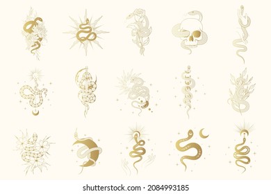 Hand drawn isolated set with gold celestial and floral snakes for witchcraft. Golden vector mystical and spiritual collection for t-shirt design, fabric, covers and cards.