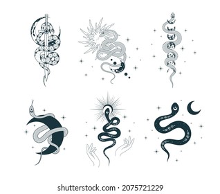 Hand drawn isolated set of six illustrations with mystical and spiritual serpents with stars, moon and sun. Celestial floral snakes prints for tattoo,  t-shirt design, fabric.