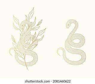 Hand drawn isolated set with snakes and twigs. Golden floral mystical witchy prints in vintage style  for covers,  t-shirt design, fabrics, notebooks and cards.