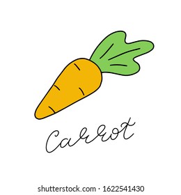 Hand drawn and isolated single carrot on white background - Eps10 doodle Vector graphics and illustration.