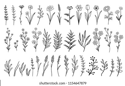 hand drawn isolated sketched set of flowers, herbs and branches on white background