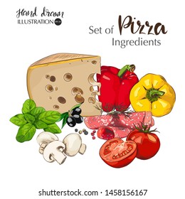 Hand drawn isolated sketches of ingredients for Italian pizza. Food menu design template. Vintage free hand sketch. Pictures set of italian kitchen. 