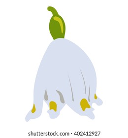 Hand drawn and isolated "Snowdrop" flower (or Galanthus flower) with white and yellow petals on white background - Eps10 Vector graphics and illustration