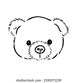 Hand drawn isolated Teddy bear. Doodle vector illustration