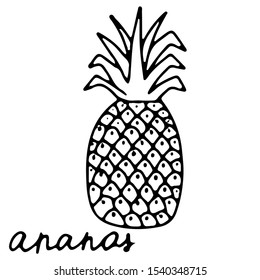 Hand drawn isolated traditional indian food icon. Black outline illustration of indian fruit. Pineapple. Ananas.