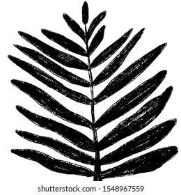 Hand drawn isolated tropical leaf. Simple vector illustration silhouette.