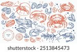 Hand drawn isolated vector set of seafood. Shrimps, langoustines, prawns, salmon, trout, oysters, mussels, squid, crab. Food vintage illustration and template on a white background.