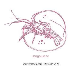 Conjunto isolado de frutos do mar desenhado à mão. Camarões, lagostins, camarões, salmão, truta, ostras, mexilhões, lulas, caranguejo. Comida vintage ilustração e modelo em um fundo branco.