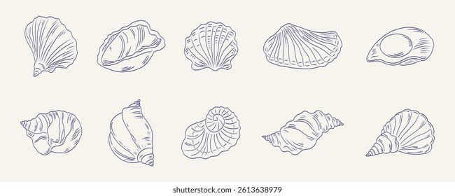Hand drawn isolated vector set of seashells. Minimalist seafood sketch. Vintage summer illustrations for cafe, restaurant, menu, poster, prints, label, placard. Vector flat illustration.
