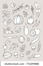 Hand drawn isolated vegetable sketch set