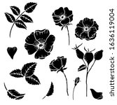 Hand drawn isolated wild rose flowers, wild rose bud, rose hip berries  and leaves.  Rose hip silhouette. Wild roses flowers line icons. Botanical illustration set.