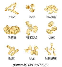 Hand drawn italian pasta set. Different types of italian cuisine in sketch style with signs. Casarecce, ditalini, risoni (orzo), tagliatelle, creste di gallo, gnocchi, rigatoni, farfalle, tagliatell