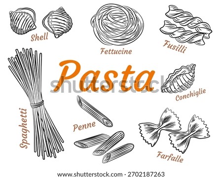 Hand drawn Italian pasta set. Collection of different types of pasta. Retro line art vector illustration. Gluten Food from wheat, flour.