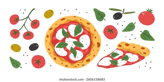 Hand drawn italian pizza. Pizza Margherita with tomato, cheese mozzarella, basil and olives. Pieces of pizza. Set of various ingredients. Vector flat illustration.
