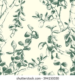 Hand drawn jade plant seamless pattern