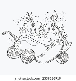 hand drawn jalapeno drawing illustration