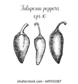 Hand drawn jalapeno peppers