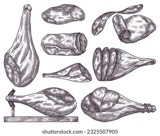 Hand drawn jamon. Gourmet meat collection. Isolated delicious engraving sketch. Dry cured farm natural product. Pork slices in black and white drawing. Vector restaurant menu element illustration