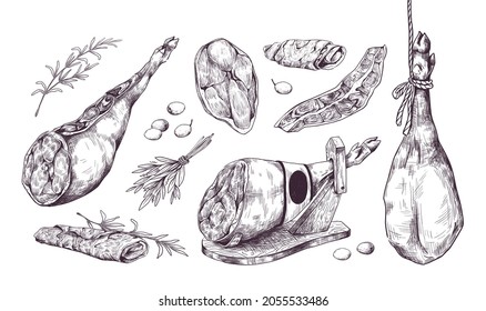 Hand drawn jamon. Special Spanish leg ham. Isolated delicious meat sketch. Pork slices with rosemary and olive. Prosciutto black and white drawing. Vector restaurant menu illustration