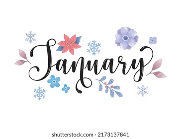 Hand drawn January month lettering typography for cover, poster, banner, flyer, social media template vector illustration