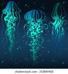 Hand drawn jellyfish. Abstract graphic illustration of jellyfishes and bubbles in vector.