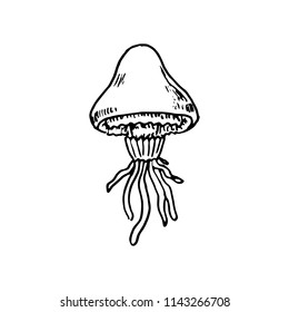 Hand Drawn jellyfish doodle. Sketch style icon. Decoration element. Isolated on white background. Flat design. Vector illustration.