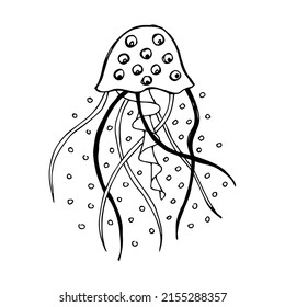 Hand drawn jellyfish in doodle or sketch style, single element in black and white color