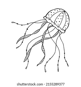 Hand drawn jellyfish in doodle or sketch style, single element in black and white color