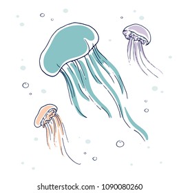 Hand drawn jellyfish with a gelatinous umbrella-shaped bell and trailing tentacles free-swimming in deep sea. Illustration for sea travel, aquarium, diving isolated on white. Wildlife aquatic concept