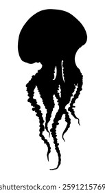 Hand drawn jellyfish isolated black and white vector illustration. Long tentacles sea creature isolated silhouette. Marine nature, underwater life animal.