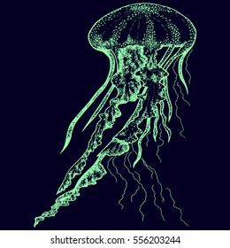 Hand drawn jellyfish isolated on black background. Vector.