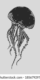 Hand drawn jellyfish isolated vector black and white illustration. Medusa with long tentacles monochrome line art. Sea nature, underwater life animal.