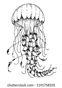 Hand drawn jellyfish with ruches and beads doodle style. Vector illustration with medusa silhouette. Tattoo sketch.