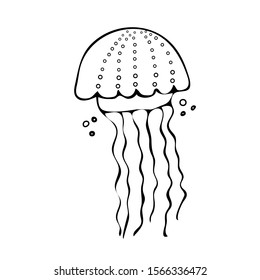 Hand drawn jellyfish for sea design vector illustration.