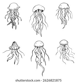 Hand drawn jellyfish set, linear art
