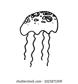 Hand drawn jellyfish vector