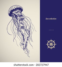 Hand Drawn Jellyfish. Vector Illustration. Sea Collection.